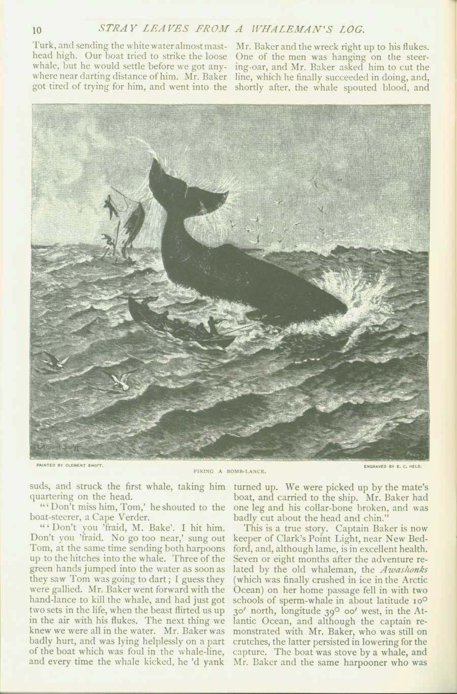 19th Century Whaling tales vist0089 back cover
